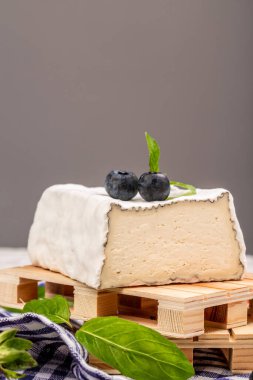 Keçi peyniri crottin de chavignol. Küllü Fransız peyniri, keçi peyniri, ev yapımı peynir çiftçisi. Doğal eko süt ürünleri konsepti, afiş, menü, metin için tarif yeri,