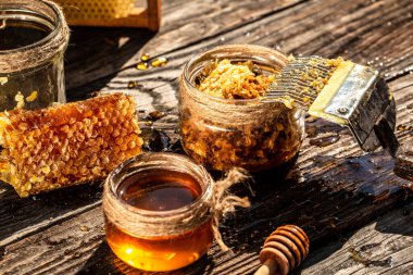 Bal peteğindeki arı kovanının makro fotoğrafı. Arılar taze ve sağlıklı üretirler, tatlım. Bal geçmişi. Arıcılık konsepti.