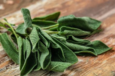 herb sage leaf on a wooden background, banner, menu, recipe, Medicine. Natural plant, place for text, top view, clipart