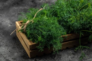 Taze dereotu koyu arka plandaki ahşap kutuya kapatın, organik, sağlıklı, ething doğal ürün porsiyonunu dondurmak için hazırlık yapın. metin için yer.