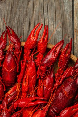 Istakoz yakın plan. Ahşap arka planda kırmızı kerevit. Bira fabrikası konsepti. Bira için atıştırmalık. metin için yer, üst görünüm.