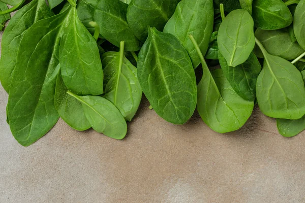 Fresh baby spinach leaves. Pile of fresh green baby spinach leaves, banner, menu, recipe place for text, top view.