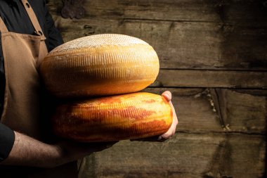 Büyük sarı peynir çarkı satıcının elinde. Peynir üreticisinin ellerinde peynir. mermer peynir.