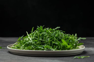 Arugula taze yeşil yapraklar koyu bir arka planda. Uzun afiş biçimi. en üstteki görünüm.