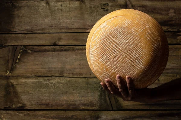 Büyük Sarı Peynir Çarkı Satıcının Elinde Peynir Üreticisinin Ellerinde Peynir — Stok fotoğraf