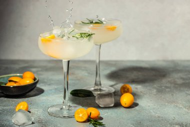 kumquat Citrus refreshing soda drink. Alcoholic cocktail with kumquat and rosemary.