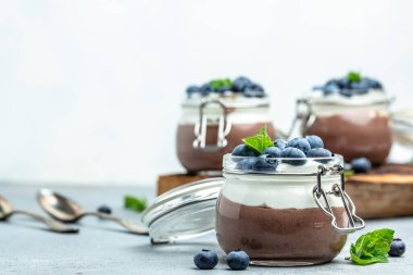Lezzetli çikolatalı mus veya kremalı puding. Yaban mersinli çikolatalı panna cotta. Çikolatalı puding ve Yunan yoğurt parfe.