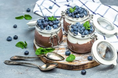 Yaban mersinli çikolatalı panna cotta. Çikolatalı puding ve Yunan yoğurt parfe. Uzun pankart biçimi.