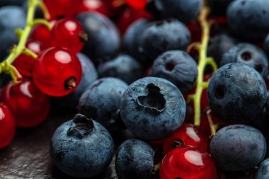 Taze böğürtlen, yabanmersini ve üzümlü arkaplan, yaban mersini. .