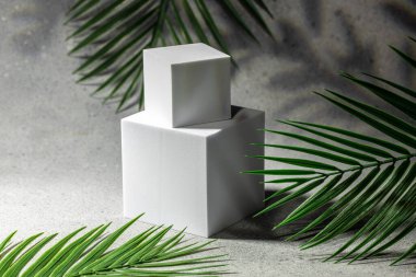 Podyum, sahne kaidesi ya da platform. Geometrik biçimlerle soyut minimalist sahne.