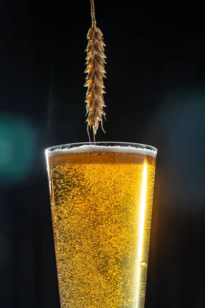 ビールと小麦の耳 垂直方向の画像 テキストの場所 — ストック写真