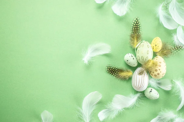 easter decorations feathers easter eggs on pastel green background.
