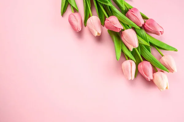 Spring tulip flowers on pastel pink background. Greeting for Womens or Mothers Day.