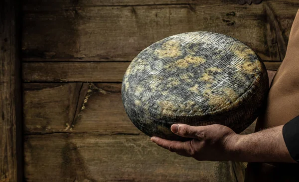 Cheesemaker Mele Hands Holding Wheel Hard Cheese — Fotografia de Stock
