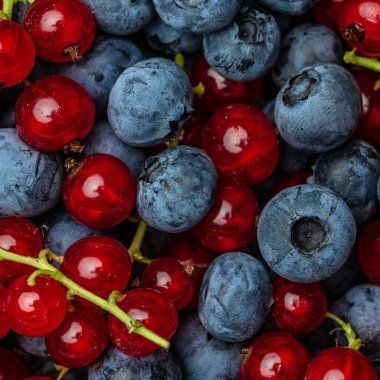Taze böğürtlen, yabanmersini ve üzümlü arkaplan, yaban mersini. .
