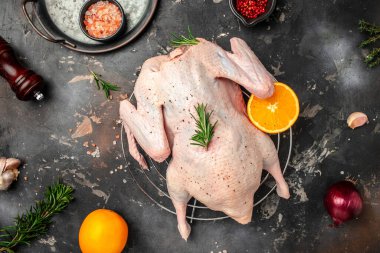 fresh whole raw duck with orange thyme and spices, prepare to cook, banner, menu, recipe place for text, top view,