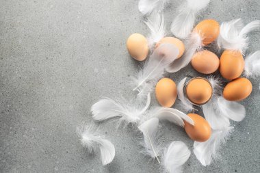 Hafif arka planda tüyleri olan tavuk ve bıldırcın yumurtaları. en üstteki görünüm.