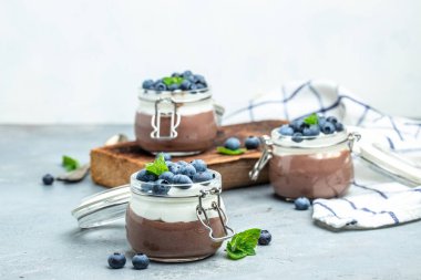 Lezzetli çikolatalı mus veya kremalı puding. Yaban mersinli çikolatalı panna cotta. Çikolatalı puding ve Yunan yoğurt parfe.
