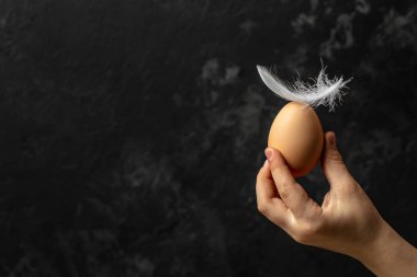 Karanlık bir arka planda çiğ yumurtayı tutan el yazısı, afiş, menü, metin için tarif yeri.