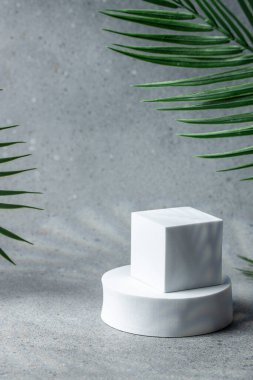 Tropikal yapraklı boş podyumlar. Minimum geometrik podyum. Model.