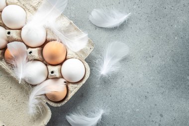 Çiğ kahverengi yumurta ve tavuk tüylü beyaz yumurta, tarım, biyolojik ve eko çiftçilik kavramı, biyolojik gıda ürünleri. metin için yer,