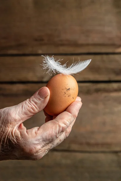 stock image A woman takes chicken eggs from the nest. Concept of agriculture, bio and eco farming, bio food products. place for text.