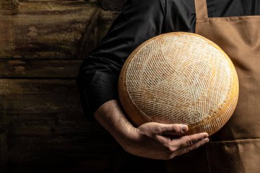 Peynir üreticisinin elinde bir kafa dolusu sert peynir. mermer peynir,