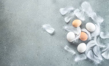 Çiğ kahverengi yumurta ve tavuk tüylü beyaz yumurta. Tarım, biyolojik ve eko tarım kavramı, biyolojik gıda ürünleri. metin için yer.