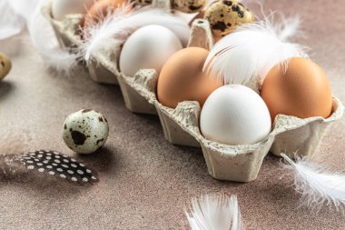 Yumurta kutusunda çiğ tavuk yumurtası. Tarım, biyolojik ve eko tarım kavramı, biyolojik gıda ürünleri. metin için yer.