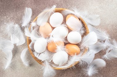 Çiğ kahverengi yumurta ve tavuk tüylü beyaz yumurta. Tarım, biyolojik ve eko tarım kavramı, biyolojik gıda ürünleri. metin için yer.