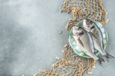 Taze balık dorado. organik sağlıklı ürünler. Detoks ve temiz diyet konsepti. metin için yer, üst görünüm.