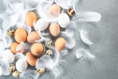 Hafif arka planda tüyleri olan tavuk ve bıldırcın yumurtaları. en üstteki görünüm.