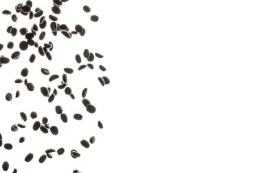 Beyaz zemin üzerine düşen kavrulmuş kahve çekirdekleri, kahve ürünü reklamları için kavram, seçici odak, metin için yer.