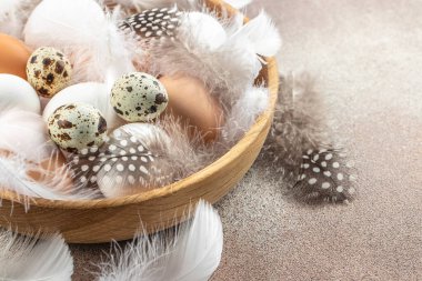 Hafif arka planda tüyleri olan tavuk ve bıldırcın yumurtaları. en üstteki görünüm.