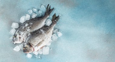 Çiğ dorado ya da buz küpleri üzerinde mavi beton arka planda deniz çipleri. Uzun afiş biçimi. en üstteki görünüm,