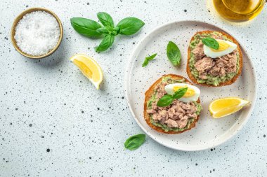 Ekmek tostu, ton balığı, avokado ve hafif arka planda haşlanmış yumurta. Sağlıklı aperatif, kahvaltı, öğle yemeği veya atıştırmalık. afiş, menü, metin için tarif yeri, üst görünüm.