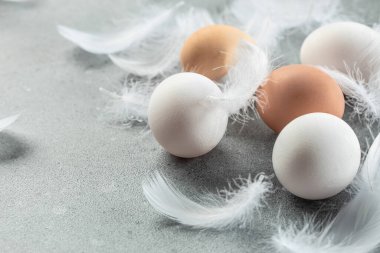 Tavuk tüylü beyaz yumurta. afiş, menü, metin için tarif yeri, üst görünüm.