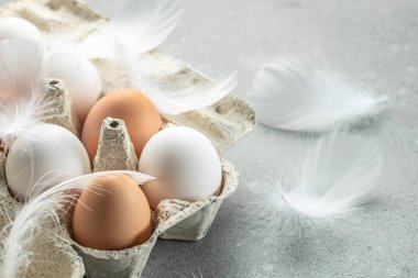 Tavuk tüylü beyaz yumurta. afiş, menü, metin için tarif yeri, üst görünüm.