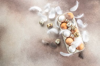 Hafif arka planda tüyleri olan tavuk ve bıldırcın yumurtaları. en üstteki görünüm.