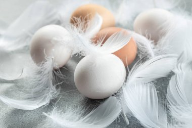 Çiğ kahverengi yumurta ve tavuk tüylü beyaz yumurta, tarım, biyolojik ve eko çiftçilik kavramı, biyolojik gıda ürünleri. metin için yer,