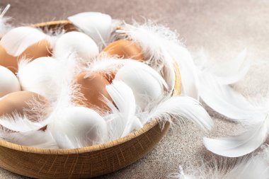 Yumurta kutusunda çiğ tavuk yumurtası. Tarım, biyolojik ve eko tarım kavramı, biyolojik gıda ürünleri. metin için yer.