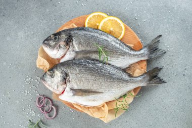 Taze balık dorado. organik sağlıklı ürünler. Detoks ve temiz diyet konsepti. metin için yer, üst görünüm.