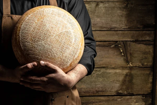 stock image Big yellow cheese wheel in seller hands. cheese in man's cheesemaker hands. marble cheese.