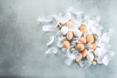Tavuk tüylü beyaz yumurta. afiş, menü, metin için tarif yeri, üst görünüm.