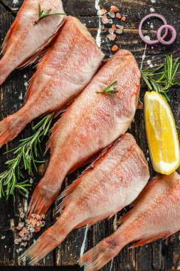 Limonlu çiğ balık levreği, biberiye, koyu arkaplanda tuz. afiş, menü, metin için tarif yeri, üst görünüm.