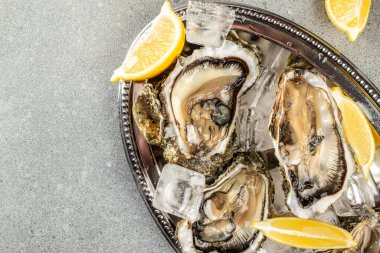 Tepside çiğ istiridye, arka planda hafif bir manzara. metin için yer,