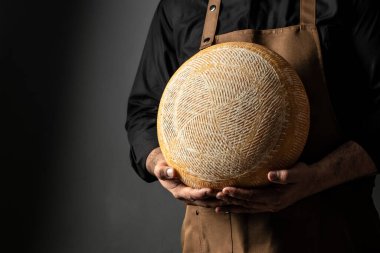 Peynir üreticisi çeşnili peynirleri kontrol ediyor. Çeşitli peynir türlerini tutan kadın elleri. Uzun pankart biçimi.