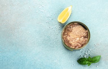 Hafif arka planda konserve ton balığı filetosu. Uzun afiş biçimi. en üstteki görünüm.