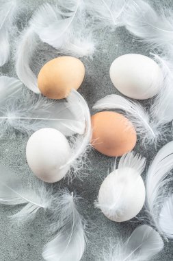 Çiğ kahverengi yumurta ve tavuk tüylü beyaz yumurta, tarım, biyolojik ve eko çiftçilik kavramı, biyolojik gıda ürünleri. metin için yer,