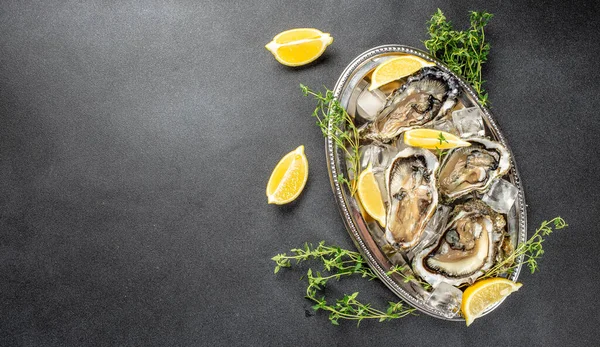 Oysters plate with lemon. Restaurant menu, dieting, cookbook recipe top view.